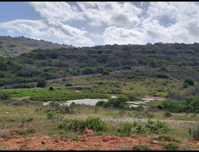 3 BEDROOM HOUSE FOR SALE IN OUTENIQUASBOSCH